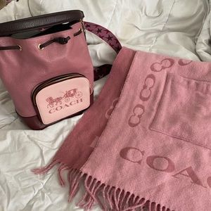 Purse and matching neck scarf